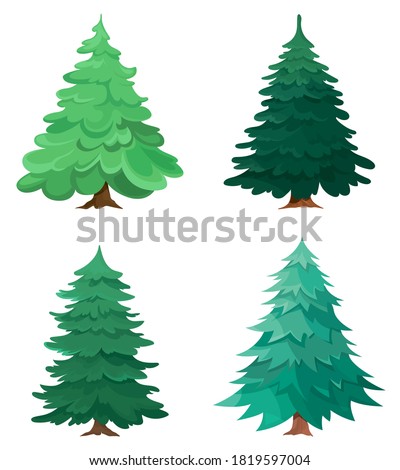 Set of different conifer trees. Collection spruces in cartoon style.