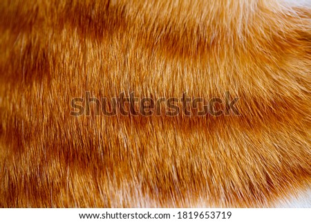 Fox fur close up. Redhead animal fur background, fur pile texture.