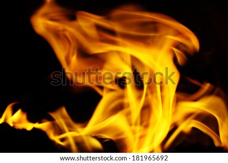texture of fire on a black background flash
