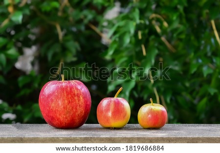 Big and small apples. Three ripe apples, red and yellow on nature background
 Royalty-Free Stock Photo #1819686884
