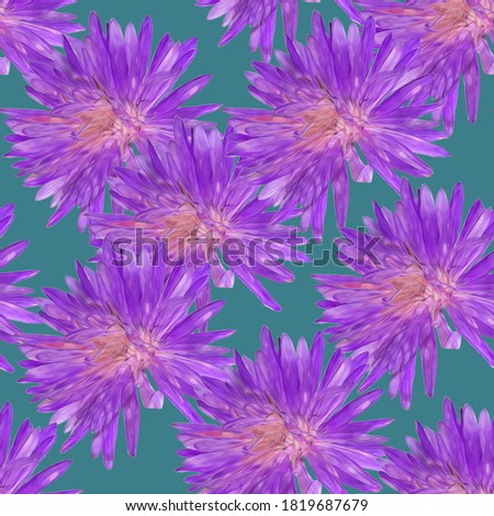 Aster. Illustration, texture of flowers. Seamless pattern for continuous replication. Floral background, photo collage for textile, cotton fabric. For use in wallpaper, covers