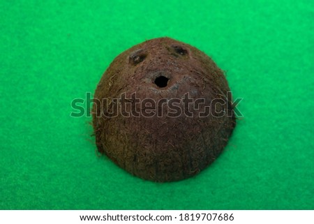 Coconut shell green screen background