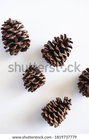 Minimalist Pinecones on White Background