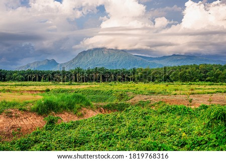 Landscape mountain view with blue sky and white cloud and green grass in evening light