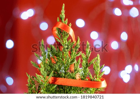 blurred small green fir tree on a red background with lights. New year or Christmas decorations, preparation for holidays.