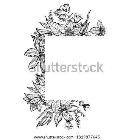 Graphic frame with stylized flowers. Vector illustration. Manual graphics.