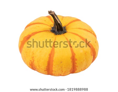 tiger striped pumpkin isolated over white background