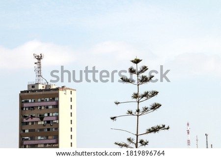 Top of a California pine tree next to the top of an apartment building with a large cell phone antenna on its roof and on the opposite side, the tops of small antennas with a sky background with smog 