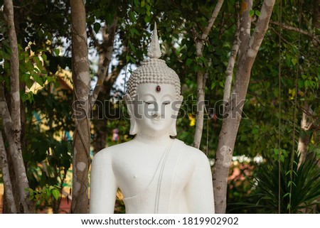 Buddha statue in natural background