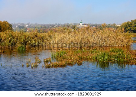 A river with yellow autumn reeds and a view of the city