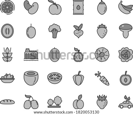 Thin line gray tint vector icon set - loaf vector, mushroom, a plate of fruit, apple, mint, ripe peach, squash, raspberry, strawberry, tasty cornels, melon, half, cherry, passion, bananas, tamarillo