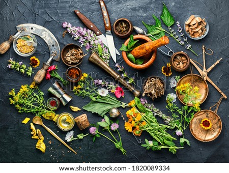 Fresh medicinal,healing herbs.Alternative medicine herbal.Natural herbal medicine