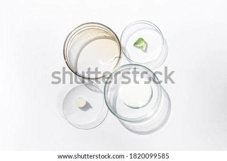 Petri dishes with cosmetic on white background. Top view, flat lay. Concept skincare. Dermatology science cosmetic laboratory. Natural medicine, cosmetic research, organic skin care products. Royalty-Free Stock Photo #1820099585