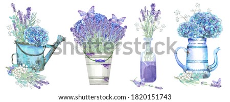 Clip art set with hydrangeas, floral elements, lavender in a glass vase and in vintage pots. Lilac butterfly. Stock illustration on a white background. Hand painted in watercolor.