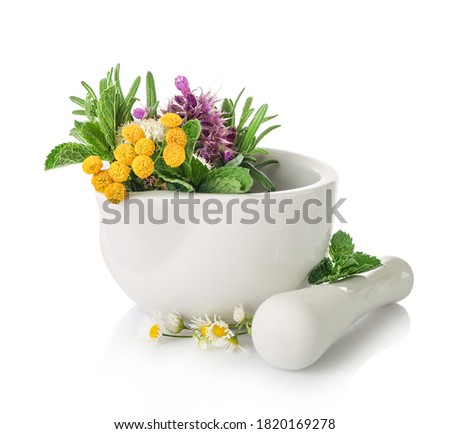 Medicinal herbs in mortar with pestle isolated on white background. Herbal medicine concept. Royalty-Free Stock Photo #1820169278