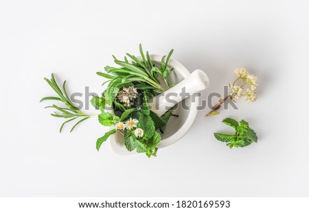 Medicinal herbs in mortar with pestle isolated on white background. Top view. Herbal medicine concept. Royalty-Free Stock Photo #1820169593