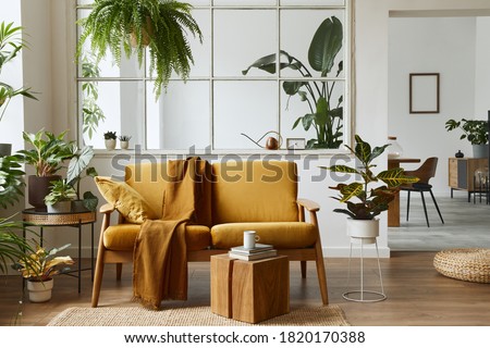 Interior design of scandinavian open space with yellow velvet sofa, plants, furniture, book, wooden cube and personal accessories in stylish home staging. Template. Royalty-Free Stock Photo #1820170388