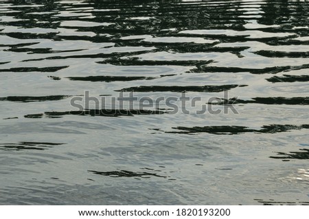 water surface, natural background. Ripples in the water.