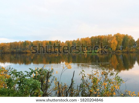 Autumn forest. Mushrooms. Berries Lake Water