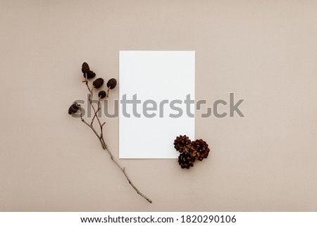 Modern stationery still life with pine cones. Closeup of blank greeting card mock up scene. Beige table background. Flat lay, top view. Christmas card idea. 