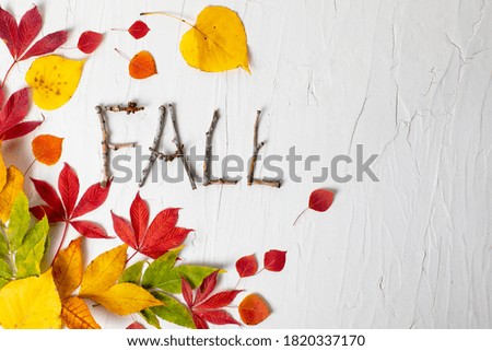 Fall nature composition with leaves colors green, yellow and orange, white background