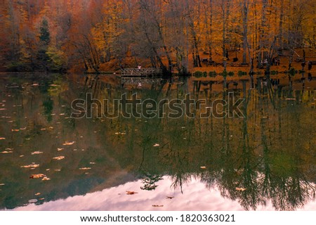 Autumn colors. Colorful fallen leaves in the lake. Magnificent landscape. Natonial Park. Photo taken on 10th November 2018 Yedigoller. Bolu, Istanbul, Turkey.