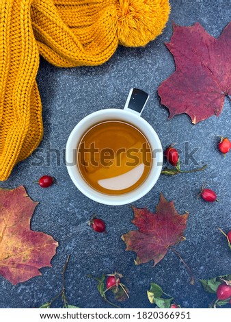 Top view of a mug of hot tea and autumn leaves. Rose hips and knitted items. Warm autumn still life.