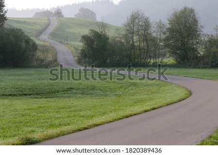 Autumn landscape with a winding road, green fields and trees with green foliage.