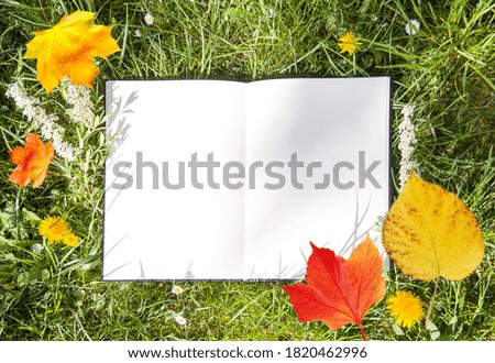 The open album lies on green grass with leaves and in the park. White sheet on lawn, free space for your design, mock up