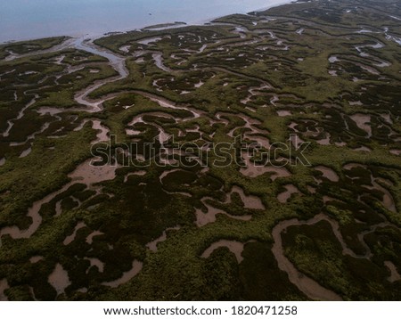 An aerial shot of marshes with a beautiful pattern