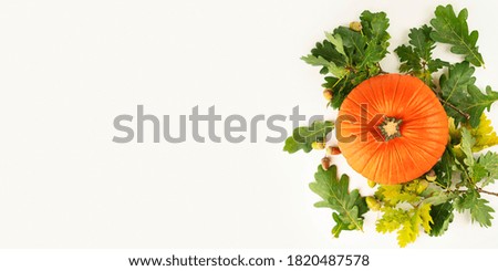 Autumn background of pumpkin and oak leaves. Autumn concept. Banner. Flat lay. Copy space.