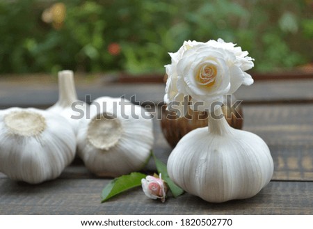 Garlic with flowers on rustic wooden table, creative concept.
