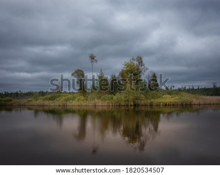 Group of trees on a small island reflecting in the water of a forest lake.