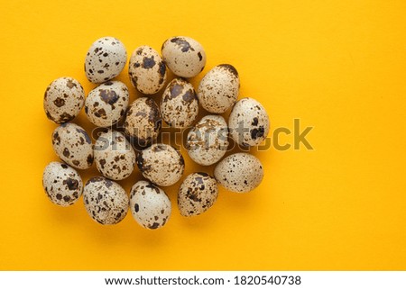 quail eggs on a yellow background