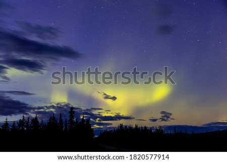 Northern lights, aurora borealis, in the Canadian Nature at Night. Taken near Whitehorse, Yukon, Canada.