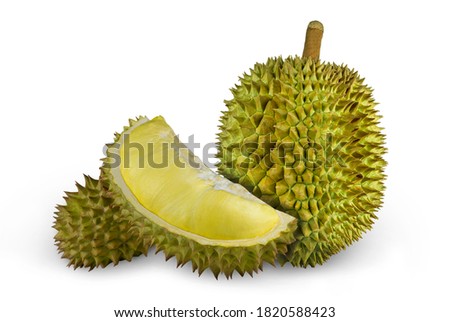 Durian fruit, the king of Thai fruits in summer season, on white background