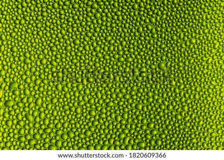 Green macro water drop surface