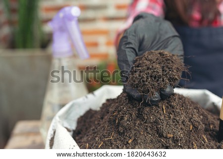 Closeup picture of  Gardener's Hands Planting Plant