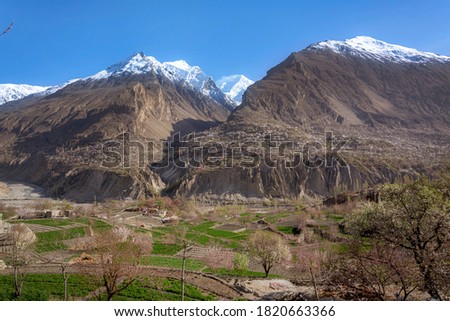 landscape photography of northern areas  in spring season, Spring landscape in mountains with Flower and the morning sun 