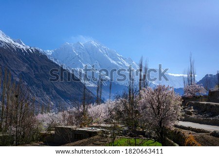 landscape photography of northern areas  in spring season, Spring landscape in mountains with Flower and the morning sun