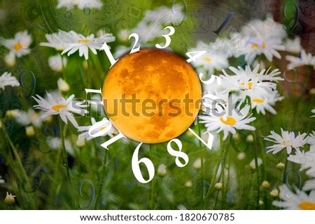 Numbers walking on the full moon on a background of flowers, numerology
