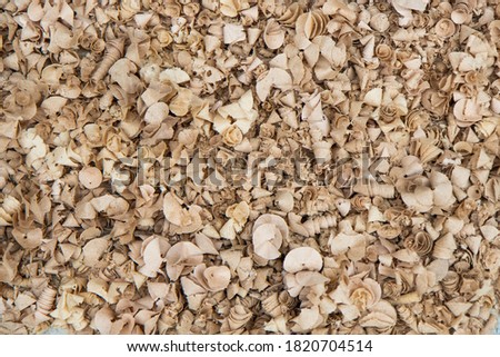 Wood chips covering floor of work shop