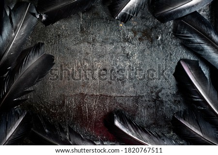 Halloween background with black raven feathers on dark grunge backdrop. Horror gothic abstract design with copyspace. Closeup of bird wing texture