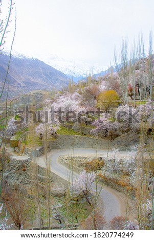 landscape photography of northern areas  in spring season, Spring landscape in mountains with Flower and the morning sun