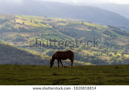 The Pasiegos valleys. They are found in the interior of Cantabria. Spain. Mountain landscape a cloudy day, in the foreground a horse.