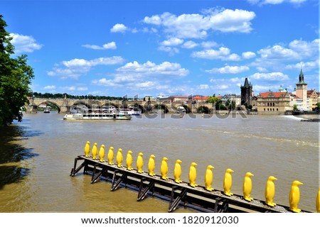 Vltava River and blue sky together with yellow penguin toys. Vltava River during sunny day. Brown Vltava River and blue sky in Prague, Yellow penguins aligned on the River. Czech Republic.
