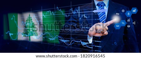 Businessman touching data analytics process system with KPI financial charts, dashboard of stock and marketing on virtual interface. With Norfolk Island flag in background.