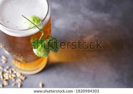 Glass of light beer on a gray background, place for text.