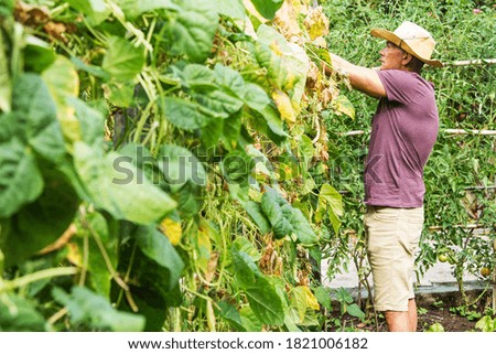 farmer working in his garden