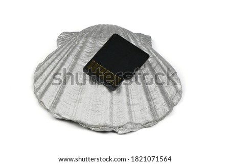 SD memory card on silver seashell isolated on white background. High resolution photo. Full depth of field.